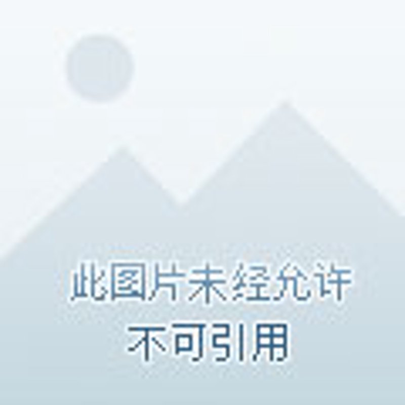 正山小种，这一款源自中国福建省武夷山的名茶，不仅深受爱茶人士的喜爱，其独特的功效和作用更是让人称道。在品珍苑茶业，我们为大家深度解析正山小种的功效与作用。